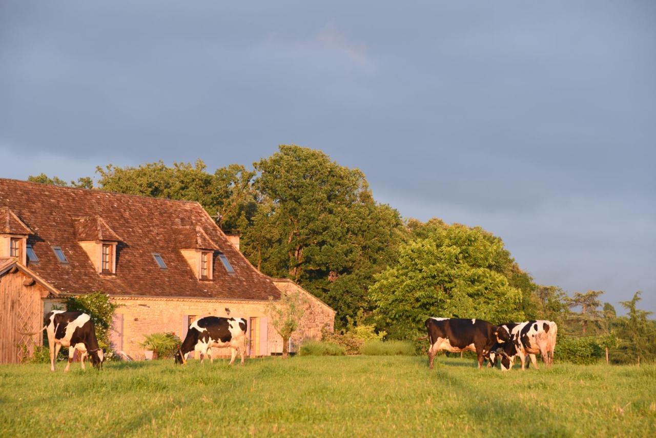 Chambre D'Hotes La Ferme De La Croix. Saint-Avit-Sénieur Exteriör bild