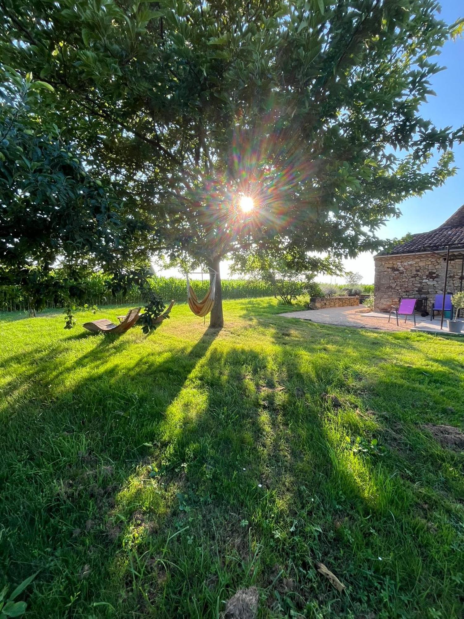 Chambre D'Hotes La Ferme De La Croix. Saint-Avit-Sénieur Exteriör bild